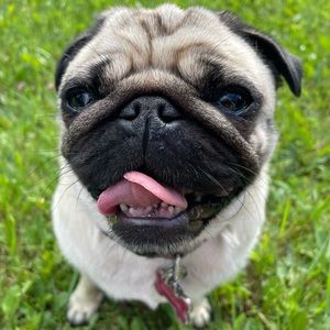 Meet your Posher, Katrina